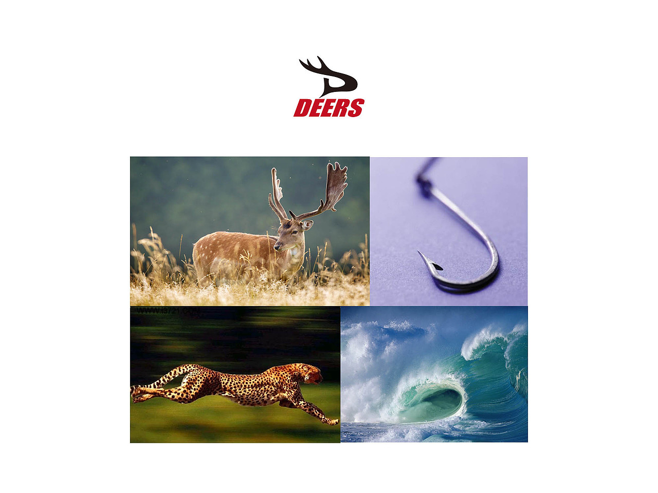 DEERS(图ZMjM5MTMwNjg=) - 品牌 - 站酷设计师中哥smile原创素材 - 站酷ZCOOL