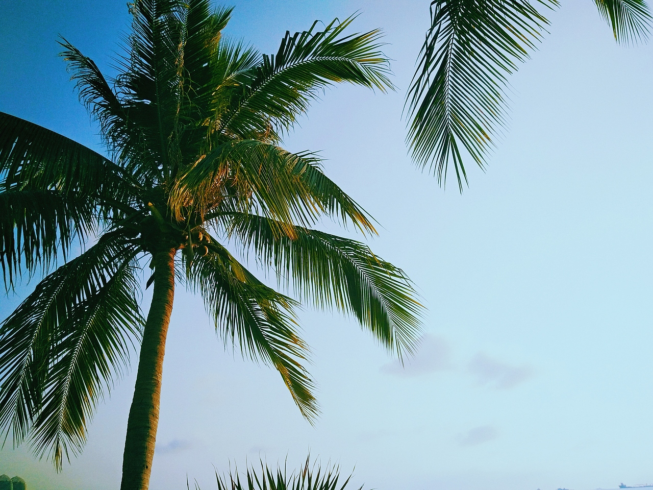 三亚之行（图ZMTIxNzg3NjIw） - 风光摄影 - 站酷设计师倔犟的凯皮酱原创素材 - 站酷ZCOOL