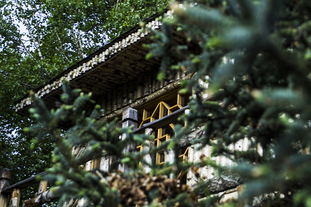 #June   林间六月