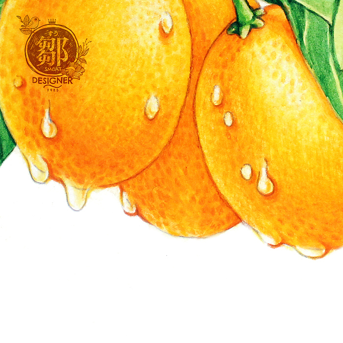 果恋系列-金桔|插画|商业插画|邹猫 - 原创作品 - 站酷 (zcool)