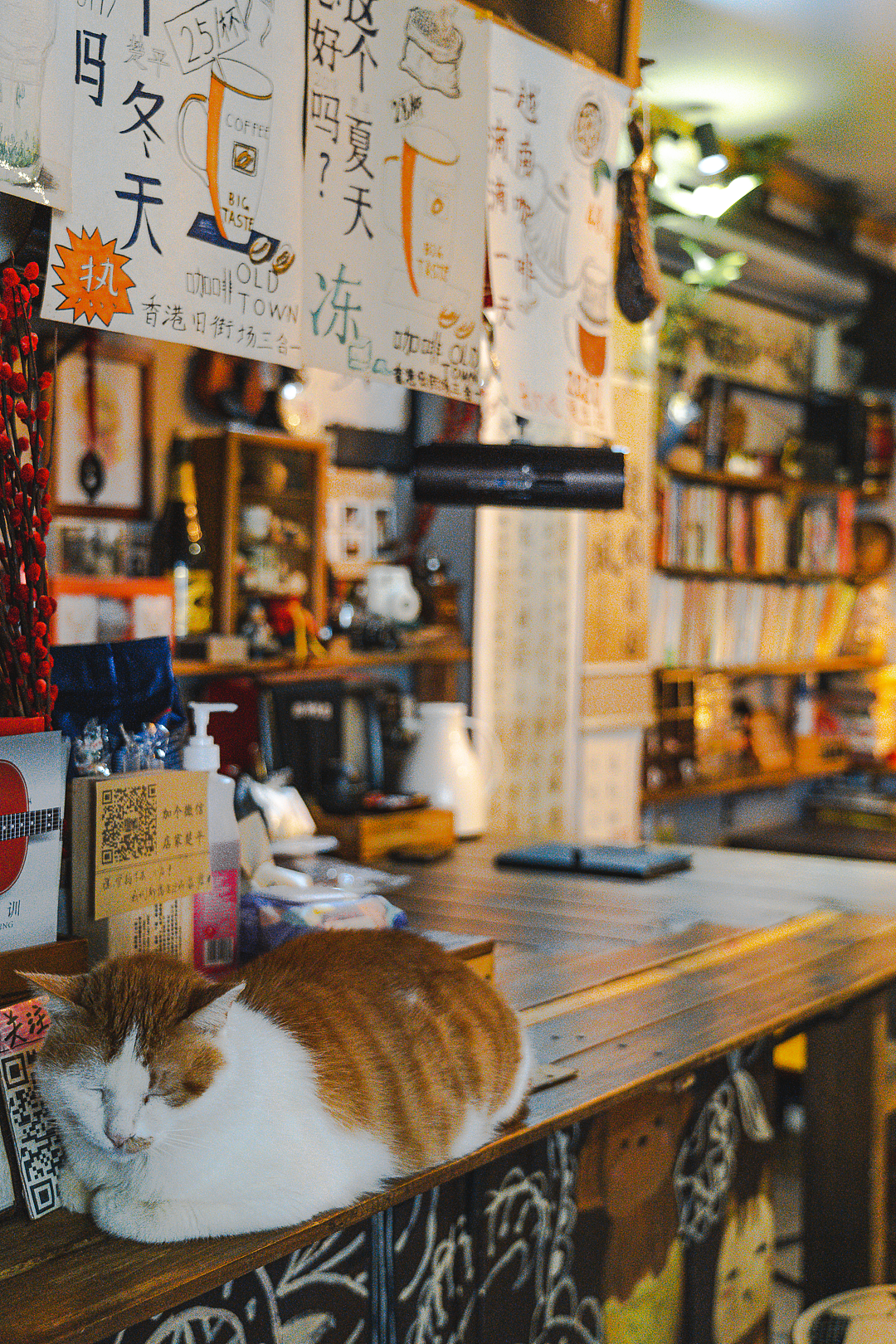 园岭新村•深圳的世外桃源