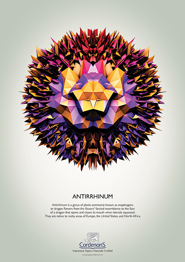 Cordenons - Impressive Papers Naturally Crafted