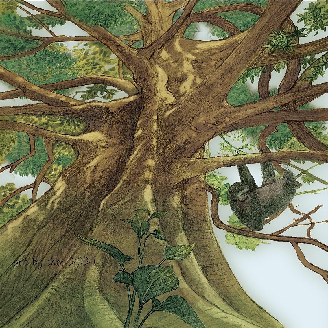 亚马逊丛林探险故事绘本