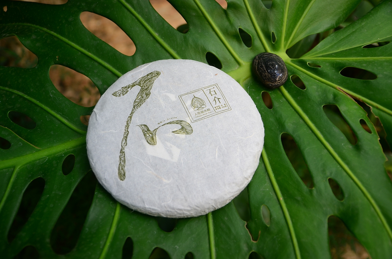 人在草木间（图ZMjk2MjE4MTI=） - 产品摄影 - 站酷设计师何伟杯子原创素材 - 站酷ZCOOL