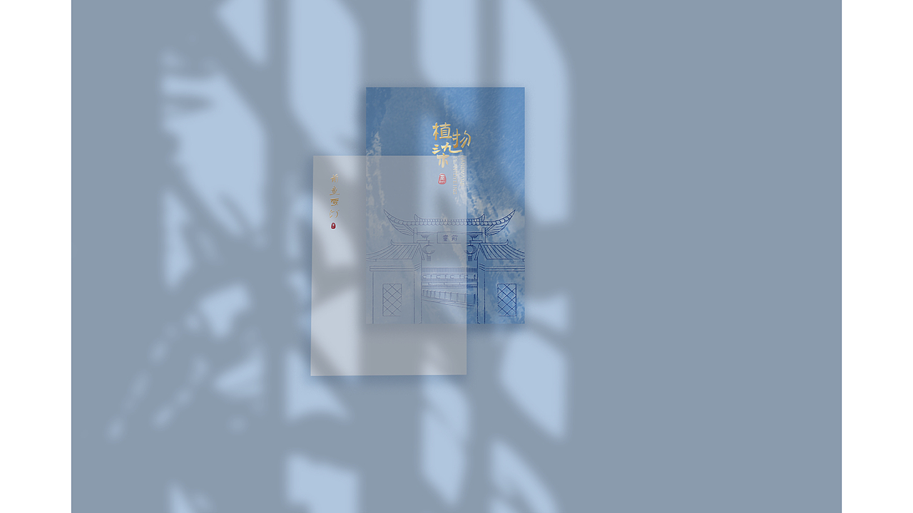 非遗植物染包装设计