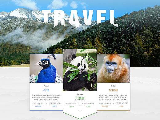 旅游专题