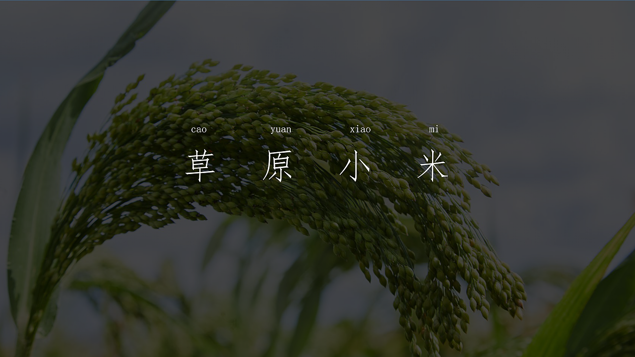 贺喜格-草原鲜小米（图ZMjIzNjA1MTA4） - 包装 - 站酷设计师风向标品牌策划原创素材 - 站酷ZCOOL
