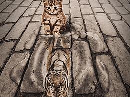 場(chǎng)景合成