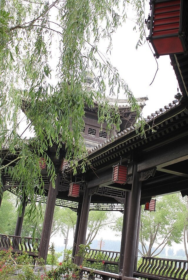 大运河森林公园