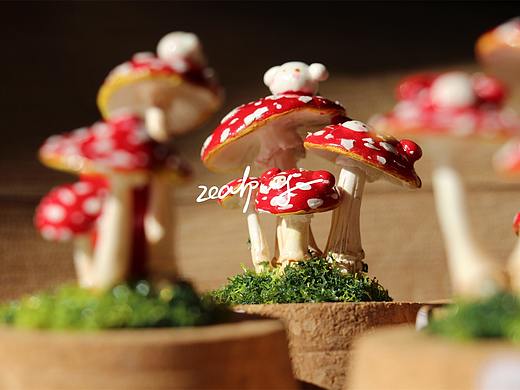 千奇百怪的毒蝇伞 红蘑菇兔系列玻璃罐标本