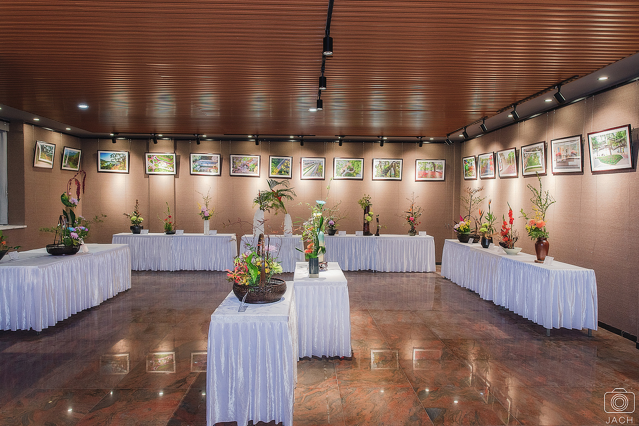 东湖菊花展2019（图ZMTg2NzAzNjQw） - 人像摄影 - 站酷设计师JACH朱海军原创素材 - 站酷ZCOOL
