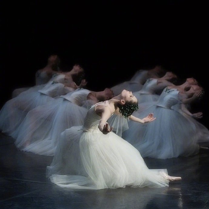 一组婚纱芭蕾海报素材分享|法式古典👰