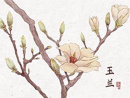 水彩植物花卉