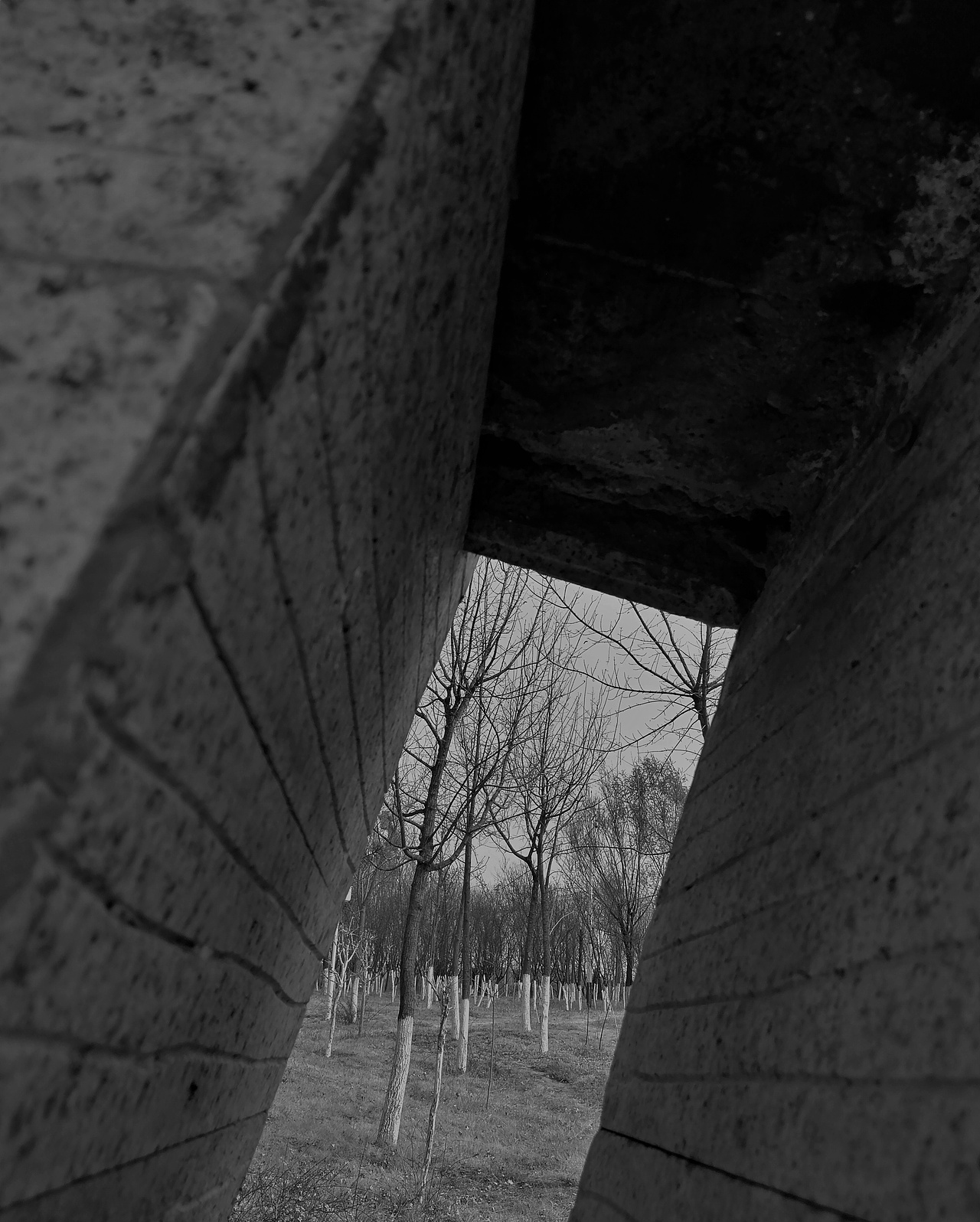 黑白摄影作品（图ZMTU0Nzk2OTEy） - 人文/纪实摄影 - 站酷设计师Ruu粥原创素材 - 站酷ZCOOL