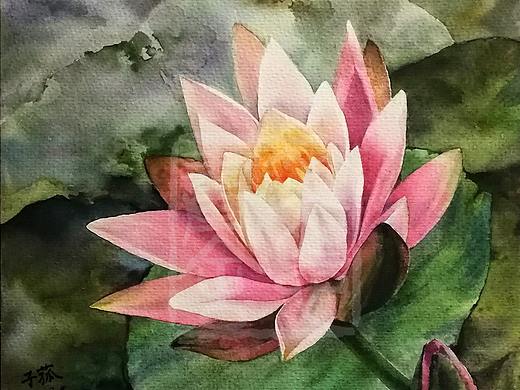 水彩花卉系列课作业