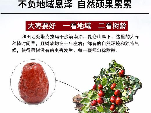 和田枣详情