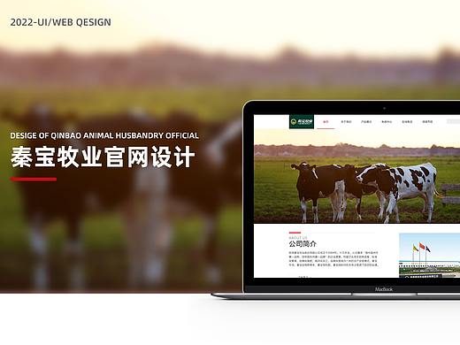 企业官网作品集