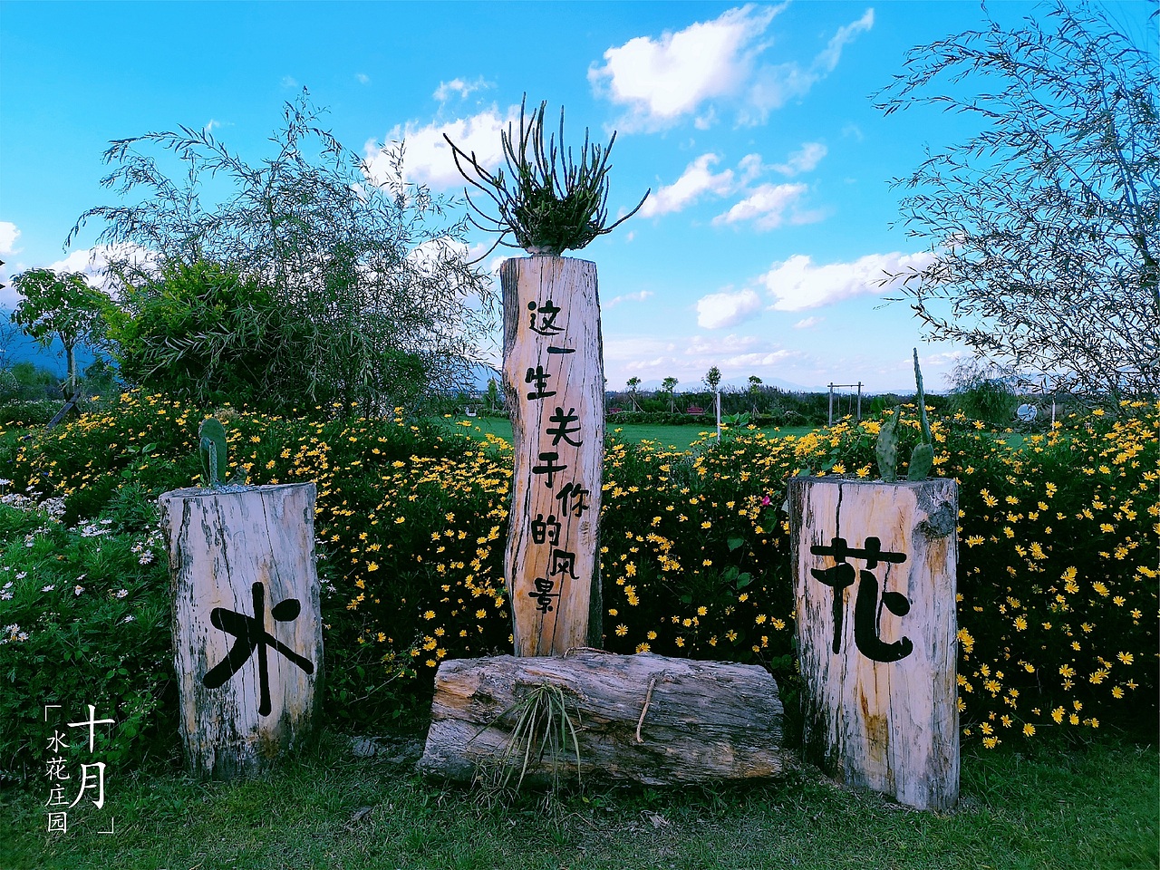 大理水花庄园