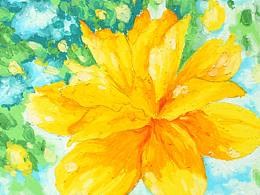 关于夏天的记忆