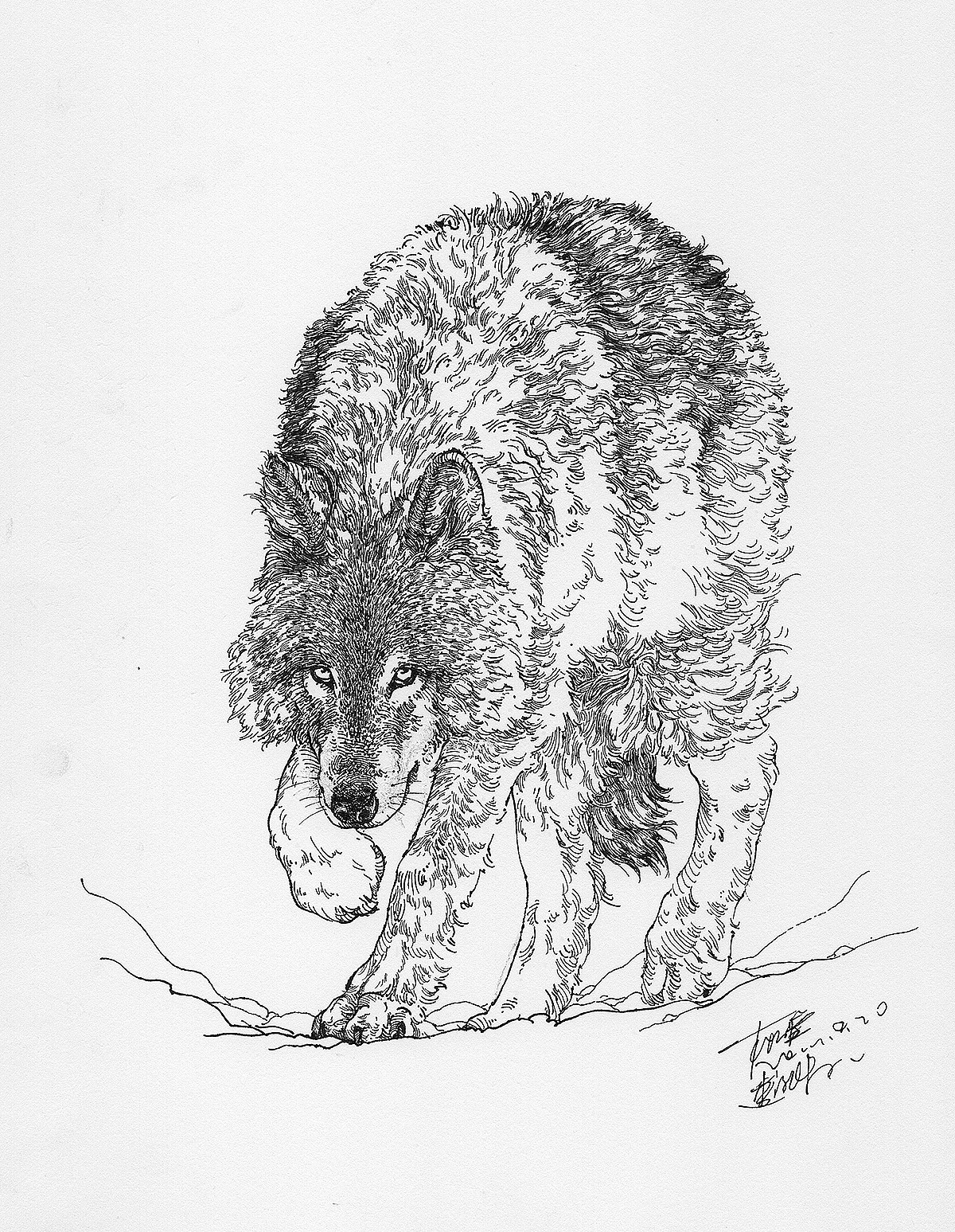 猫猫狗狗马马 ……小集（图ZOTg5NjA0NzI=） - 绘画 - 站酷设计师DX_IDO原创素材 - 站酷ZCOOL