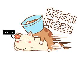 猫来了小课堂-啪啪啪那点事