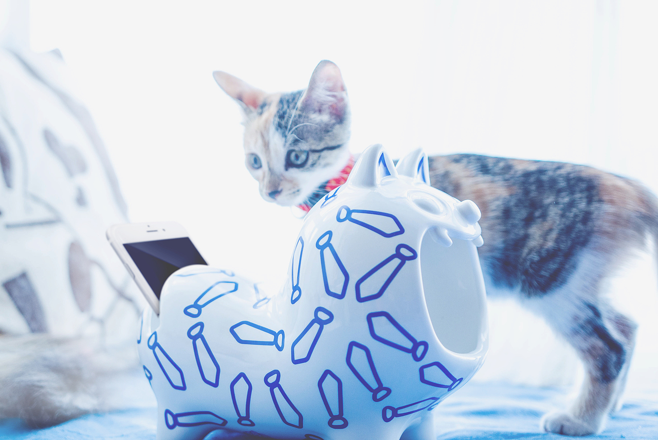 你有九条命吗（图ZNTc4NjAzMjg=） - 生活用品 - 站酷设计师andry原创素材 - 站酷ZCOOL