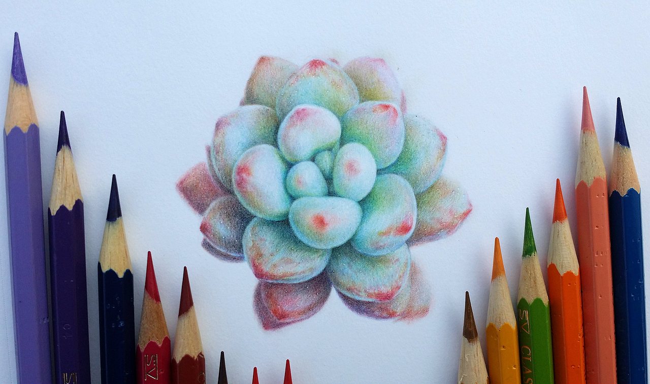 多肉 1（图ZNjI2MDg3ODA=） - 绘画 - 站酷设计师林朵云原创素材 - 站酷ZCOOL