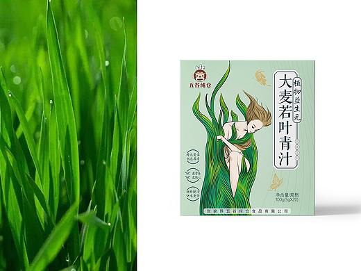 大麦若叶青汁品牌包装设计