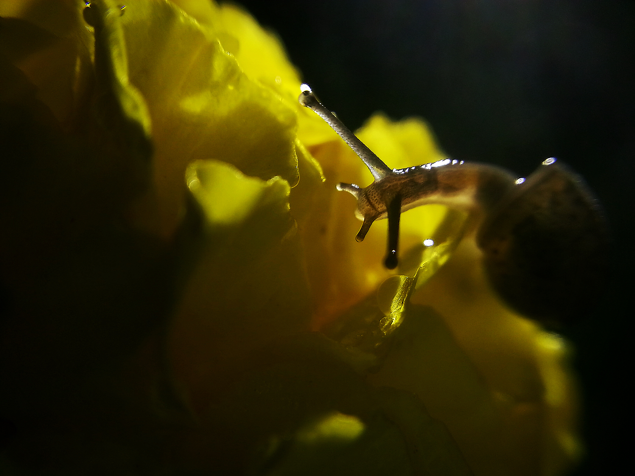 摄影作品 · 慧影间