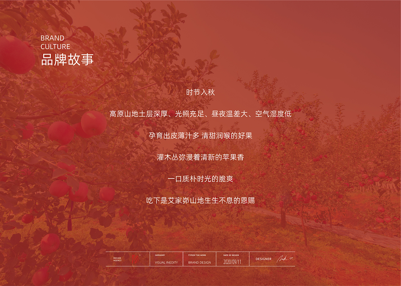 米脂县榆江苹果品牌升级设计