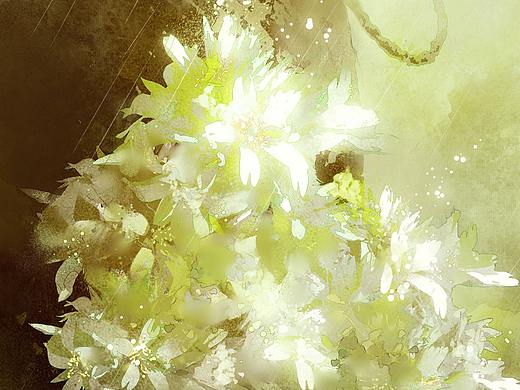 思无邪·诗经·周南篇
