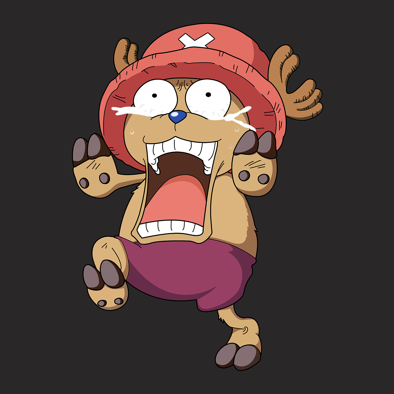 海贼王人物|动漫|动画片|梦幻zds - 原创作品 - 站酷 (zcool)