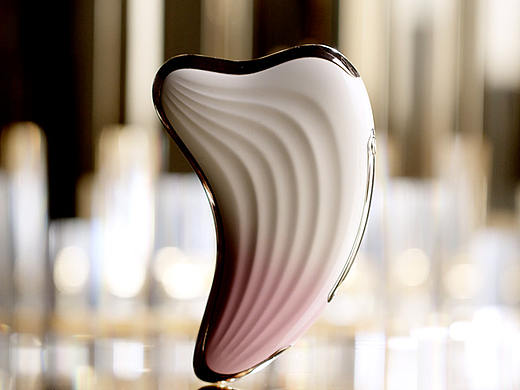 日本MARASIL玛瑞莎皇后小海豚美容仪器广告