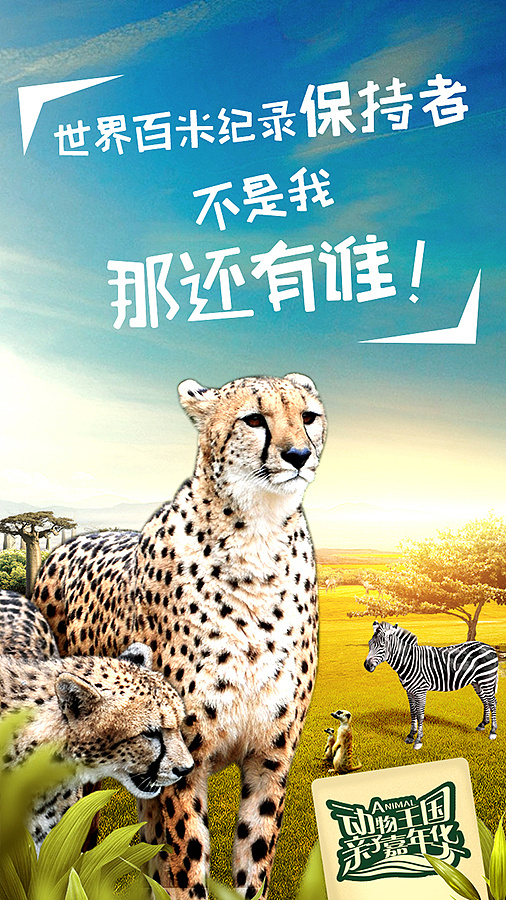 济南野生动物园的一组海报