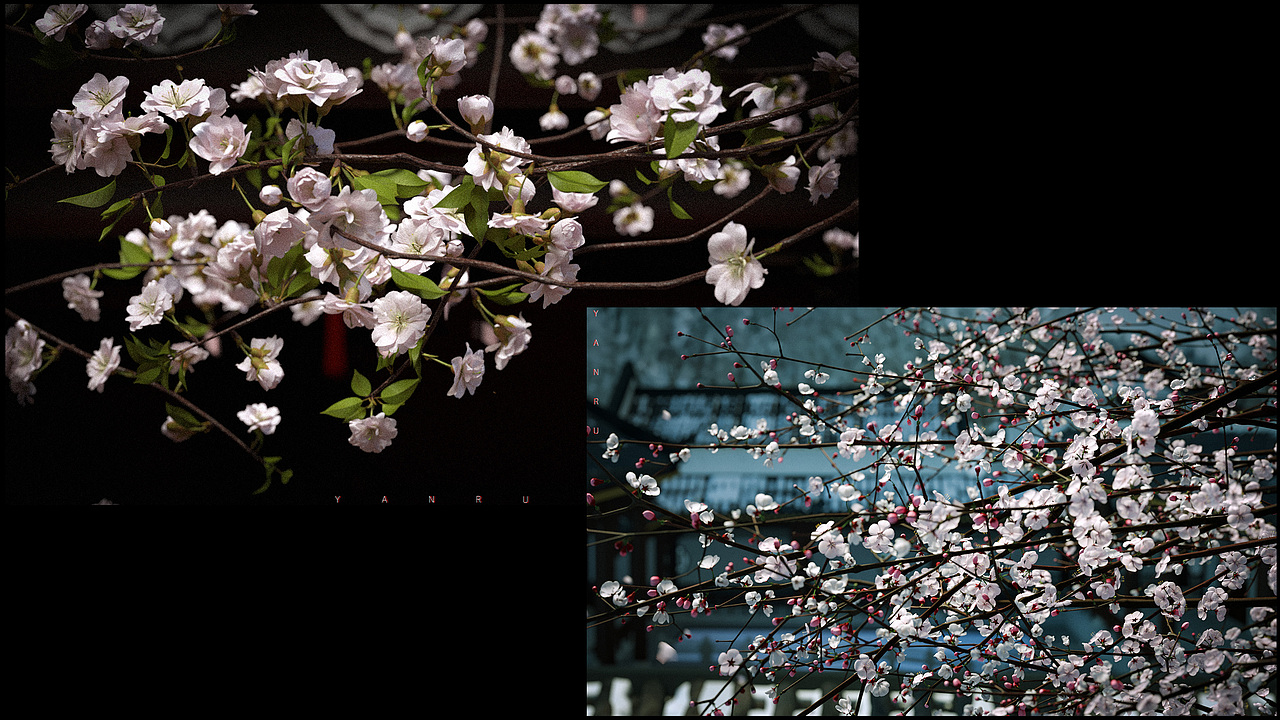 ~2021.8个人渲染合集（图ZMjY3ODcxOTU2） - 场景 - 站酷设计师33ru原创素材 - 站酷ZCOOL