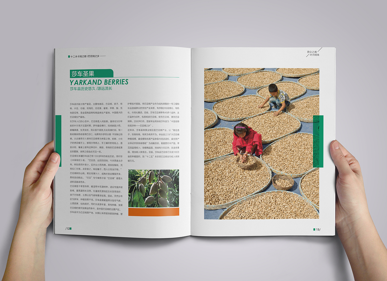 农业|画册（图ZNDA1MDAyNjQ=） - 书籍/画册 - 站酷设计师ASCENT森特原创素材 - 站酷ZCOOL