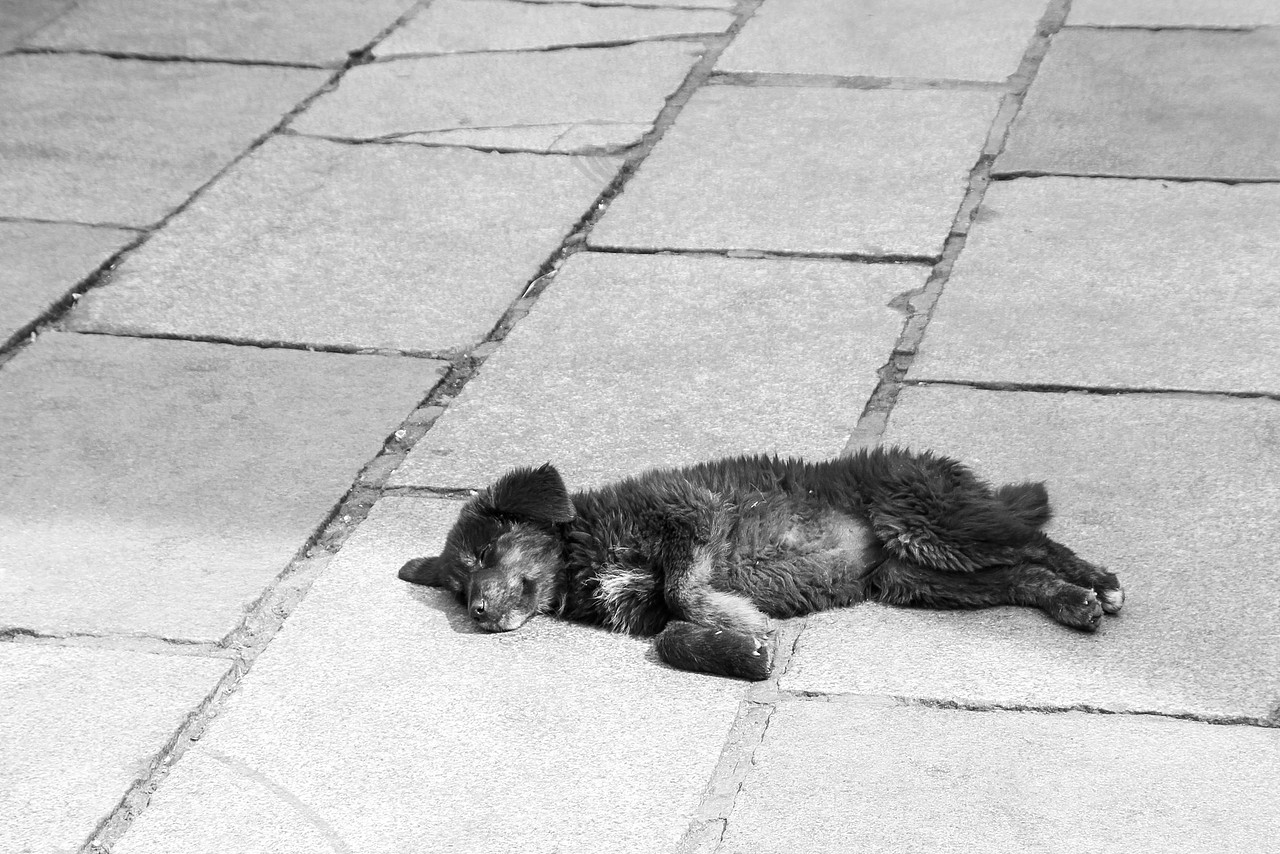 灵魂在游荡（图ZMjA0NzkzMjA0） - 人文/纪实摄影 - 站酷设计师苏航VV原创素材 - 站酷ZCOOL