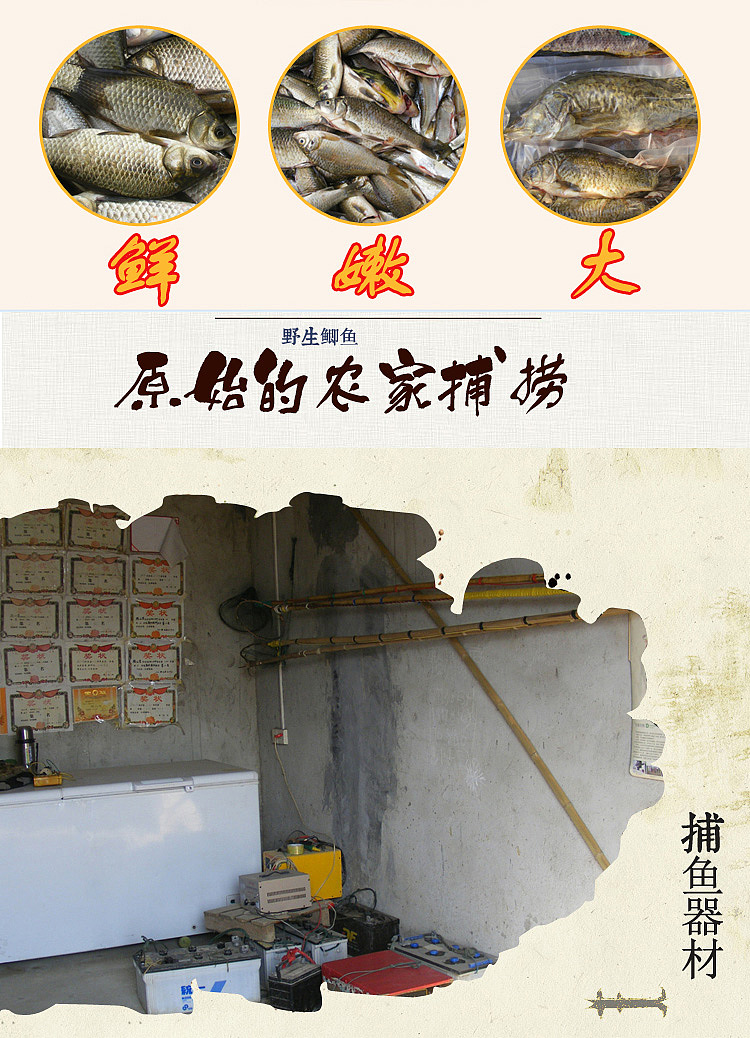 王明月之详情鱼优化古韵海报（图ZMjM2MDYzMTI=） - 电商 - 站酷设计师六月唯明原创素材 - 站酷ZCOOL