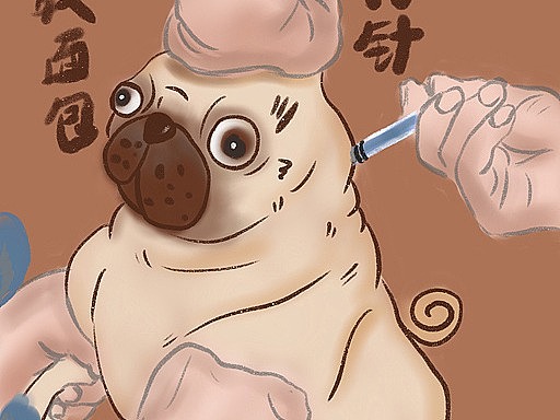 手绘巴哥犬的日常丨巴哥-面包打针记