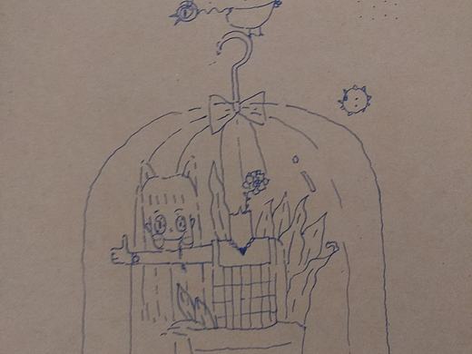 笼里的猫咪 笼外的鸟
