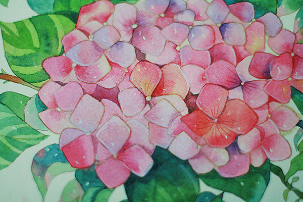 candy田《生如夏花》