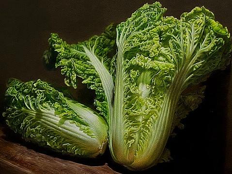 彩铅静物