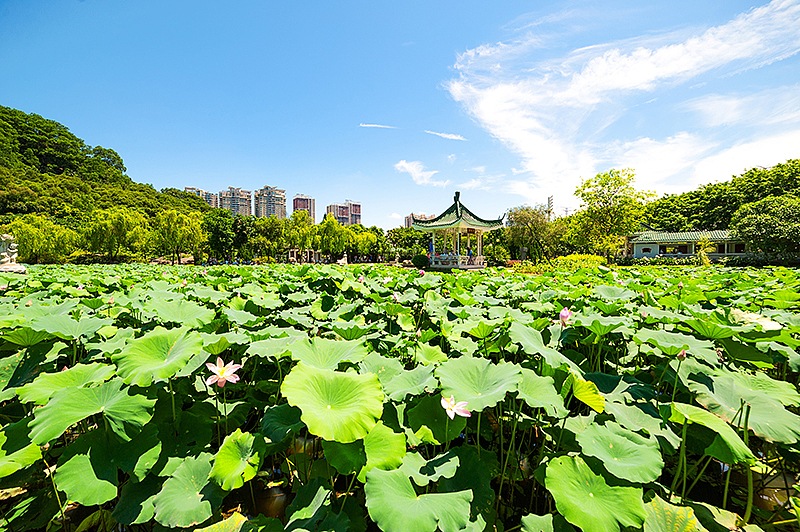 东莞虎门公园&虎门炮台