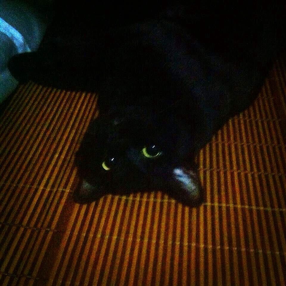 不知道叫什么名称好