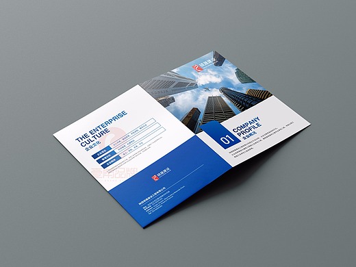 一希品牌设计--单页,彩页,dm系列设计