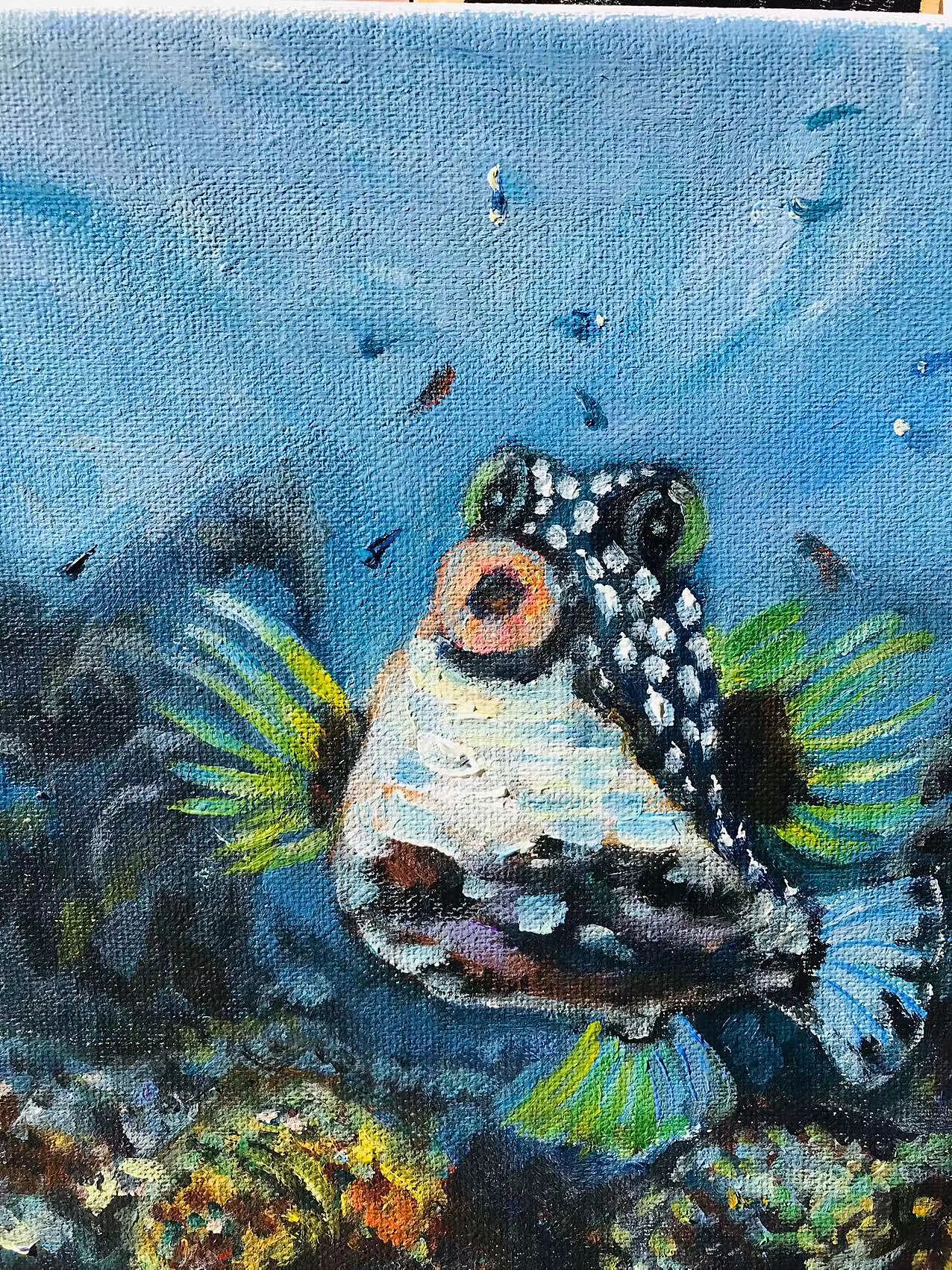 海底兴奋的小丑鱼