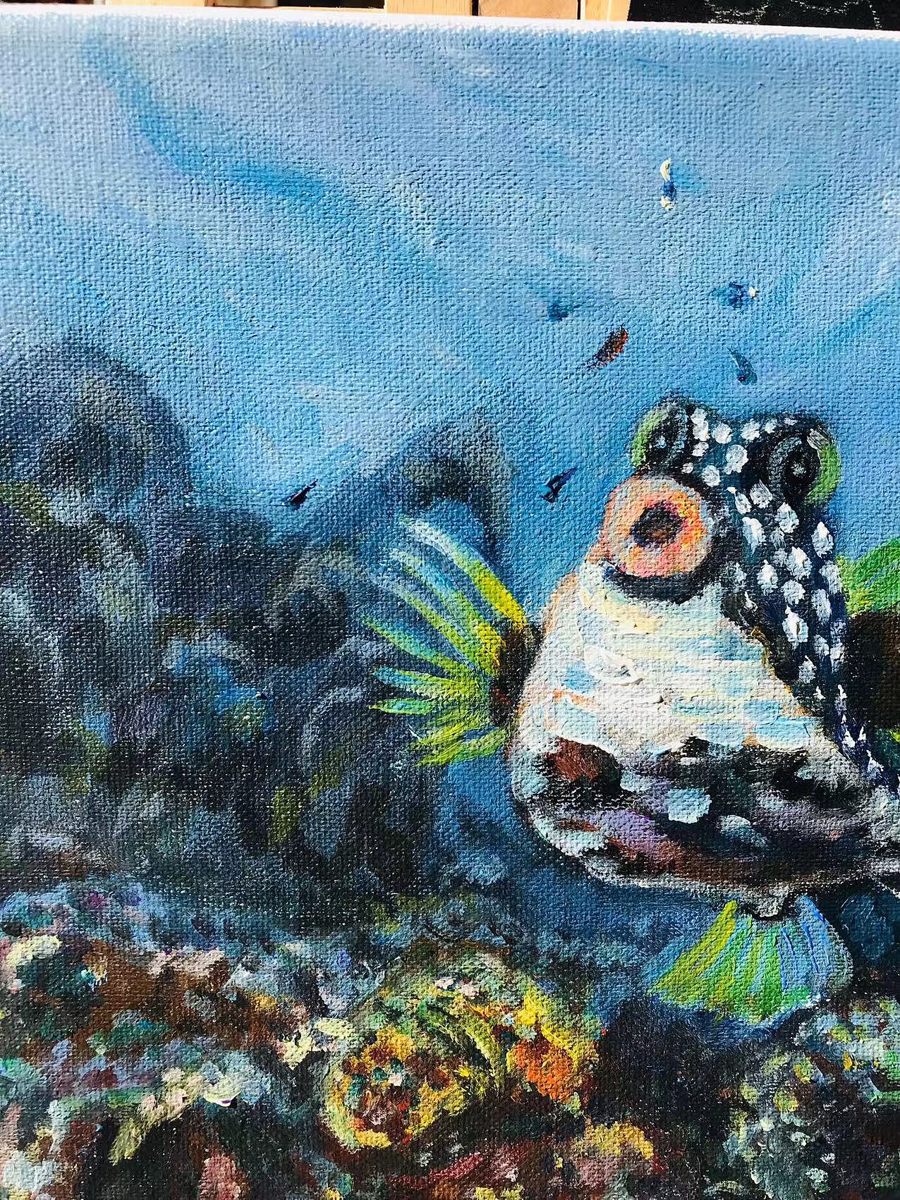 海底兴奋的小丑鱼