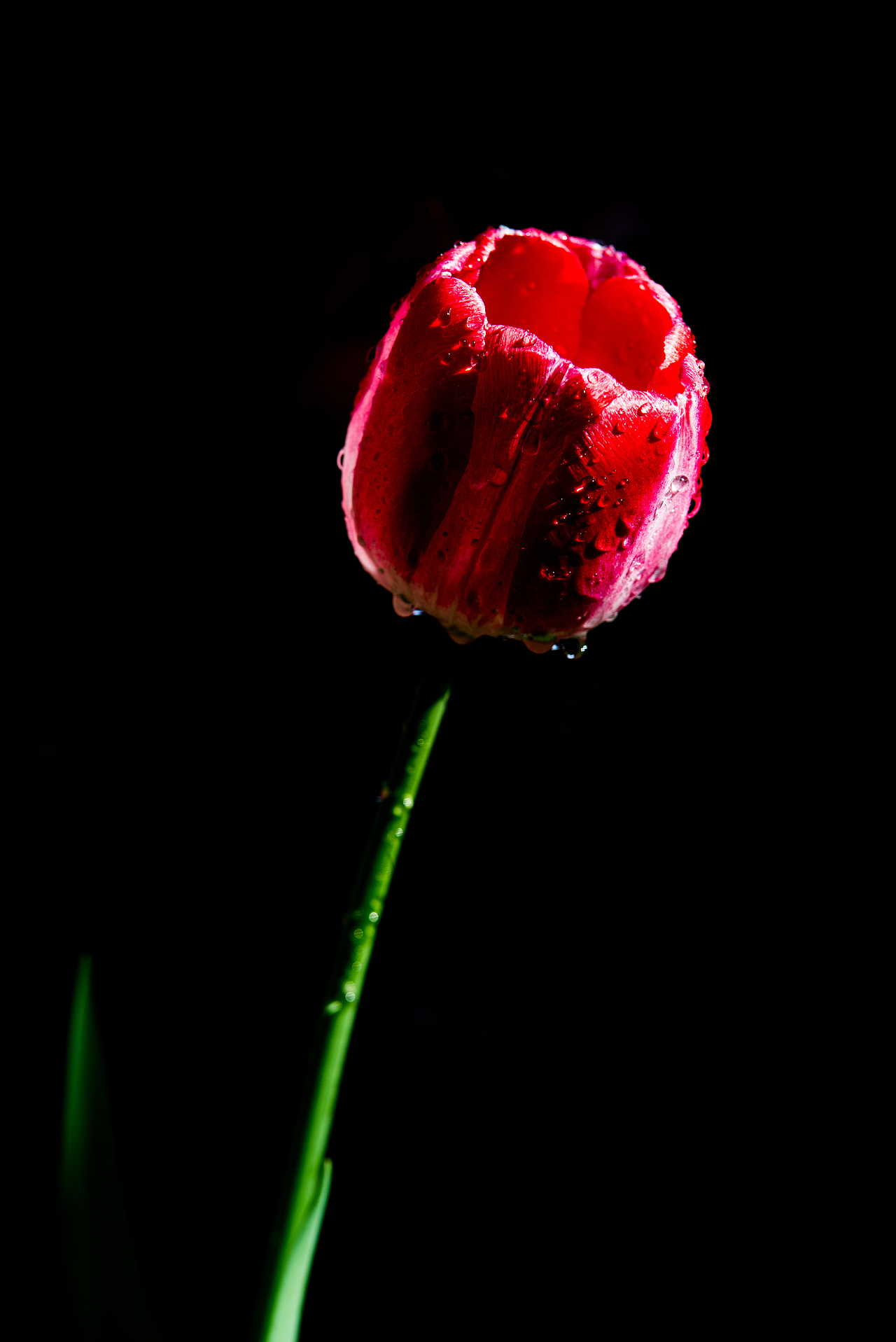 命运交响曲-Symphony No.5 in C minor Fate Symphony