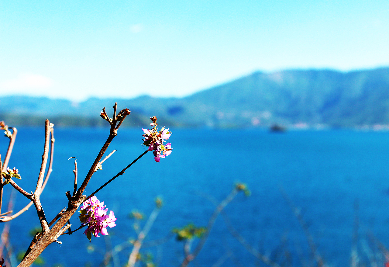 云南（图ZMTIxOTk1ODQw） - 风光摄影 - 站酷设计师Trina徐原创素材 - 站酷ZCOOL