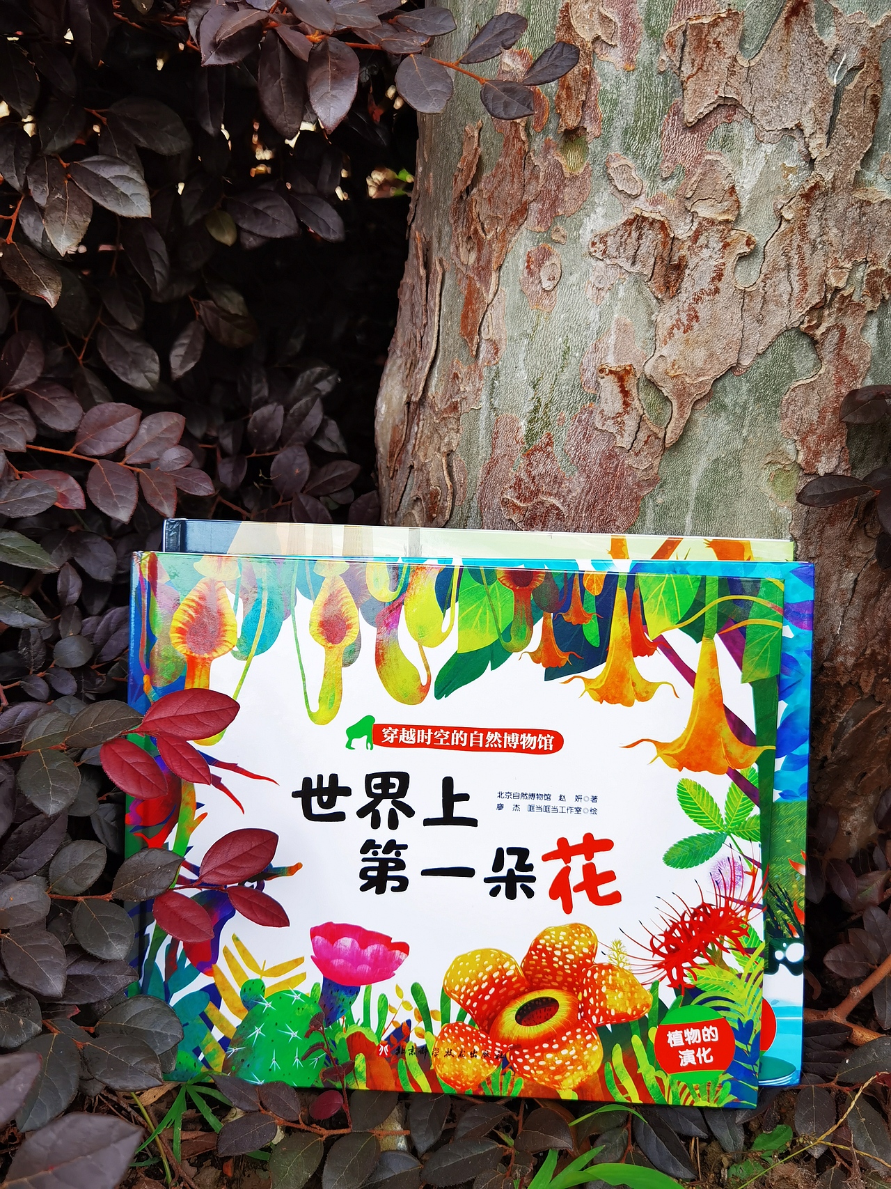 《穿越时空的自然博物馆》绘本合集（图ZMjE0NDMwOTE2） - 绘本 - 站酷设计师廖杰LjLj原创素材 - 站酷ZCOOL